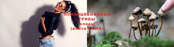 винт Мегион
