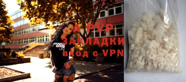 крисы Медвежьегорск