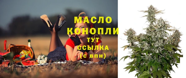 винт Мегион